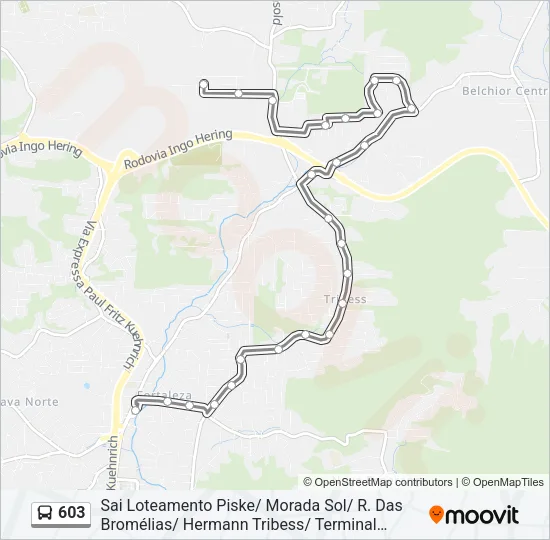 603 Bus Line Map