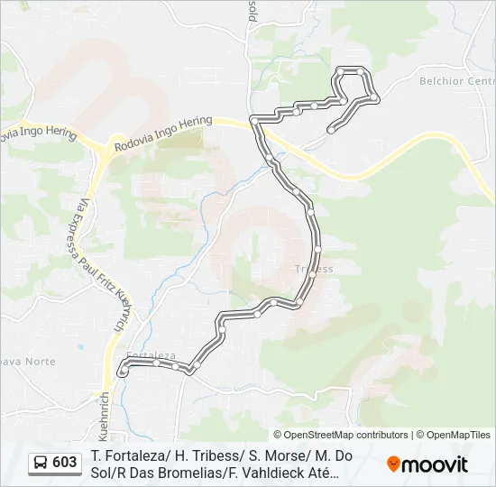 603 Bus Line Map