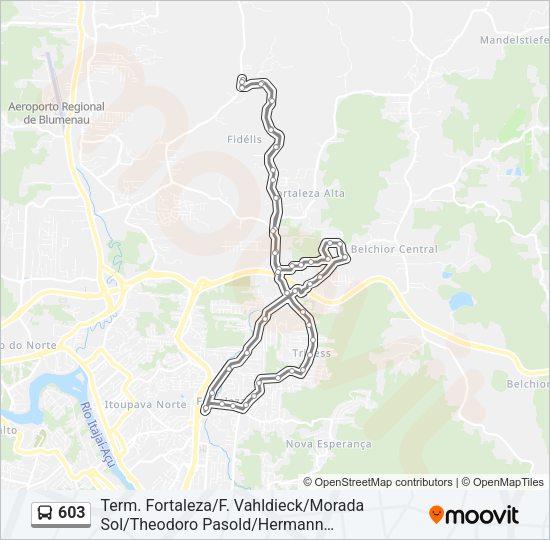 Mapa da linha 603 de ônibus