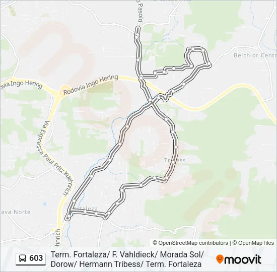 603 Bus Line Map