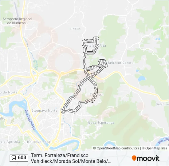 603 Bus Line Map