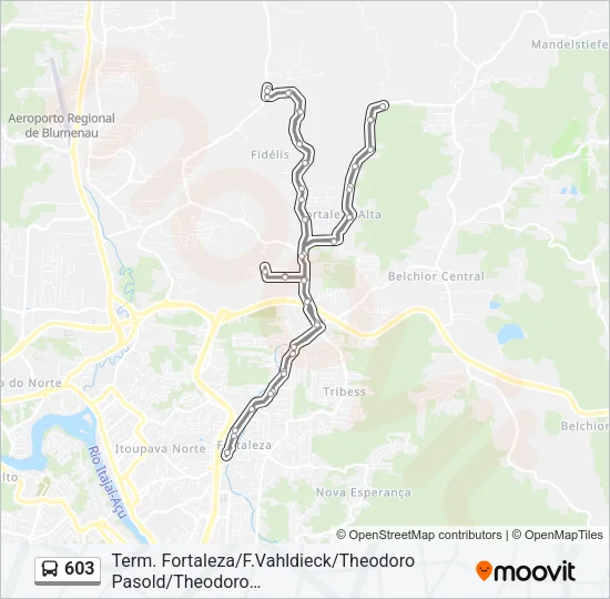 603 Bus Line Map
