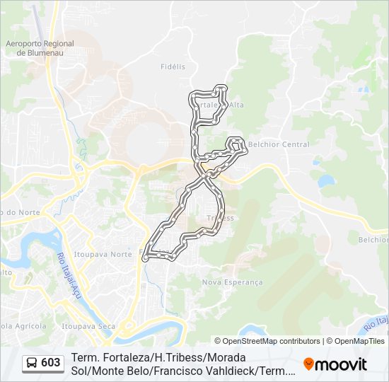 Mapa da linha 603 de ônibus