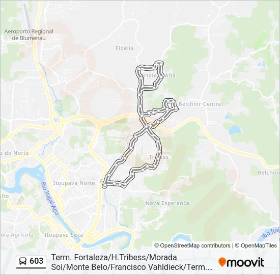 603 Bus Line Map
