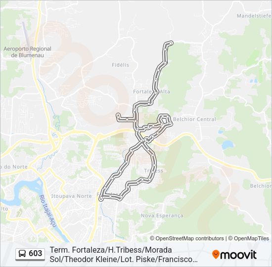 Mapa da linha 603 de ônibus