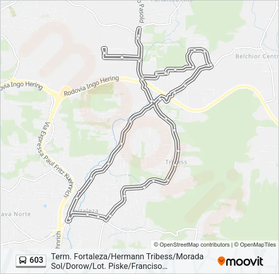 603 Bus Line Map