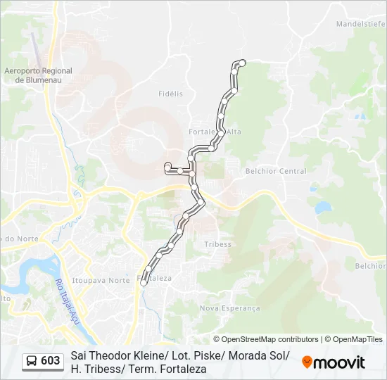 603 Bus Line Map