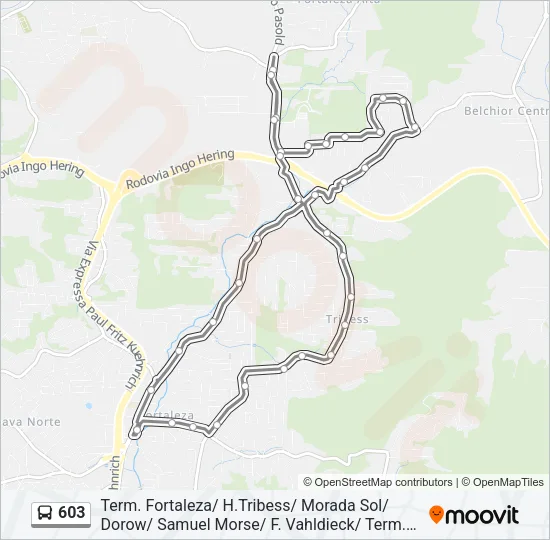 603 Bus Line Map