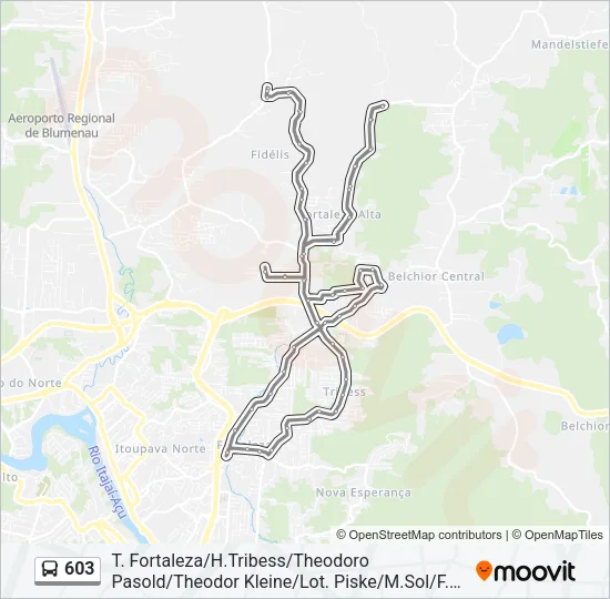 603 Bus Line Map