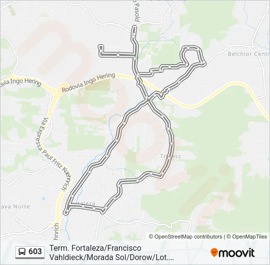 603 Bus Line Map