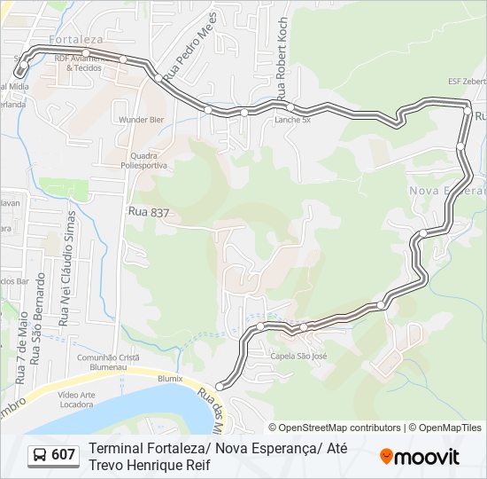 Mapa da linha 607 de ônibus