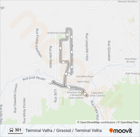 Mapa da linha 301 de ônibus