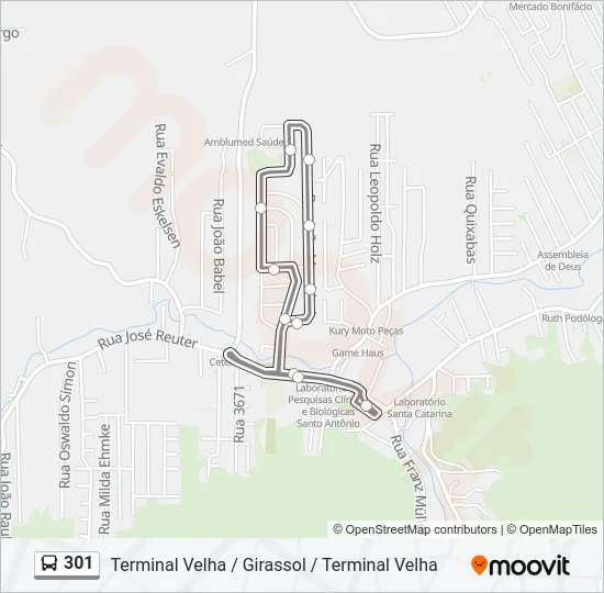 301 Bus Line Map