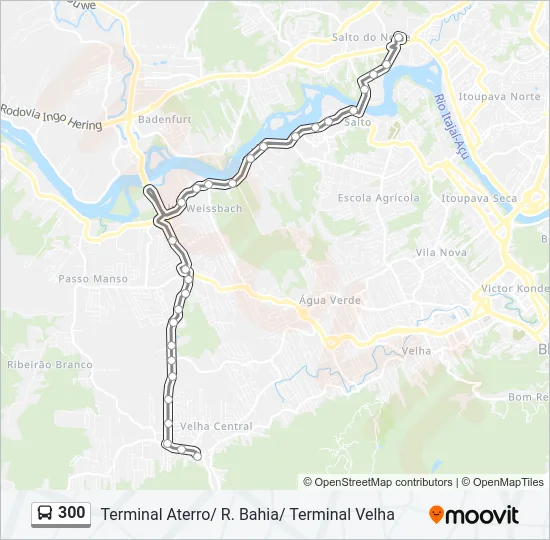 300 Bus Line Map