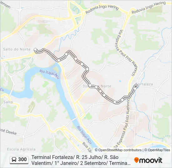 300 Bus Line Map