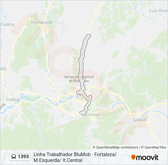 1393 Bus Line Map