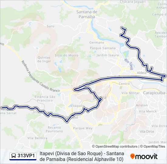 313VP1 Bus Line Map