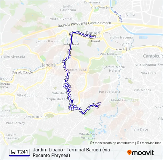 T241 Bus Line Map