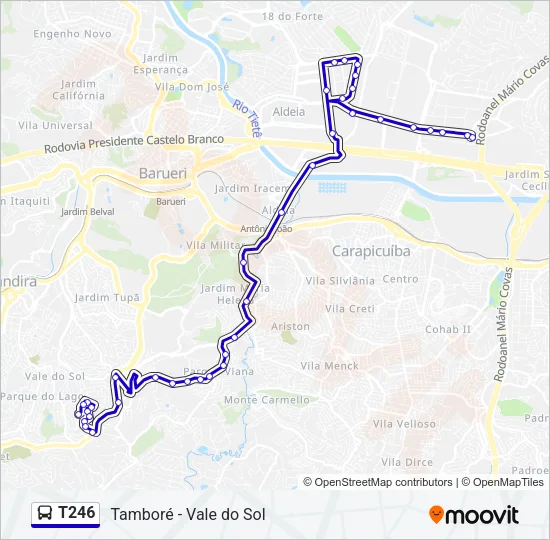 T246 Bus Line Map