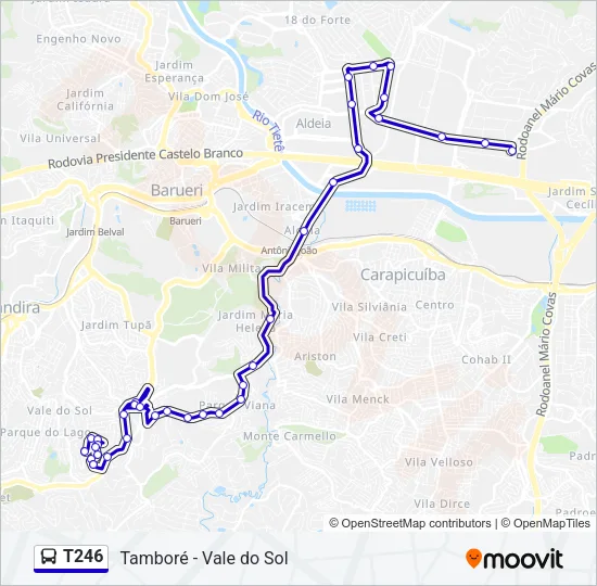 T246 Bus Line Map
