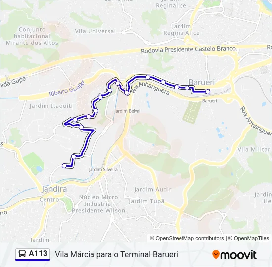 A113 Bus Line Map