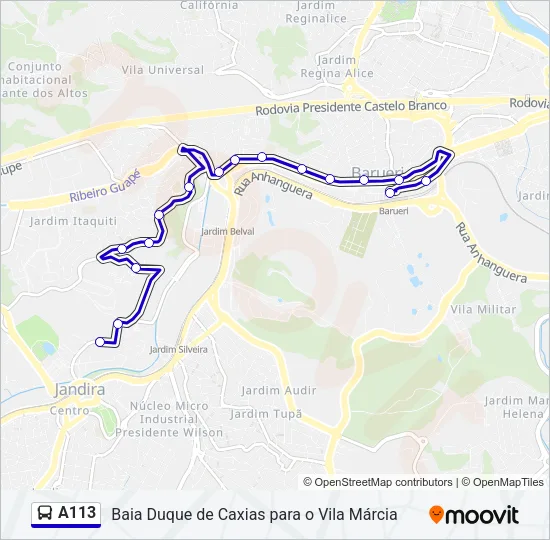 A113 Bus Line Map
