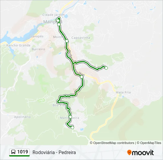 1019 Bus Line Map