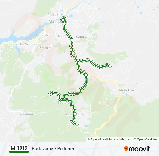 1019 Bus Line Map