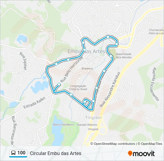 100 Bus Line Map