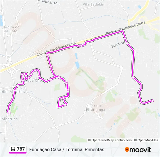 787 Bus Line Map