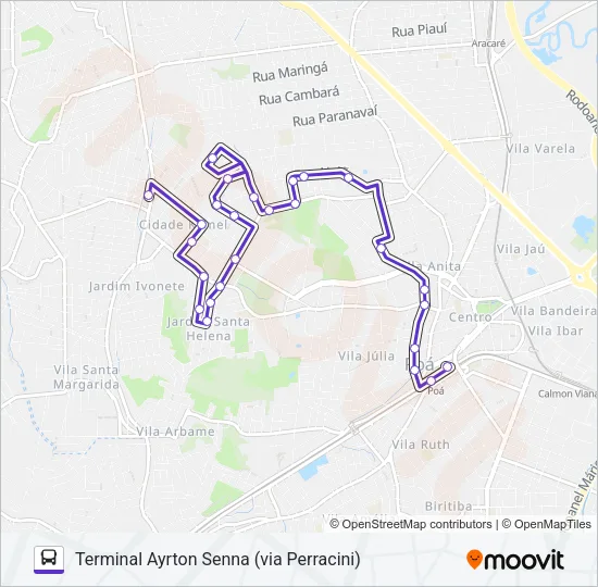 010 CIRCULAR 1 (VIA PERRACINI) Bus Line Map