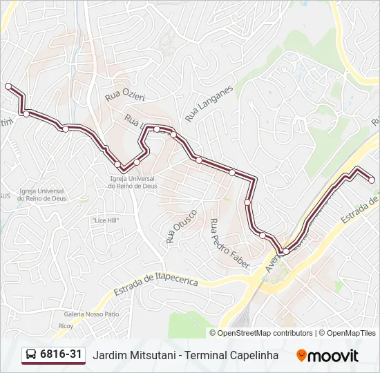 6816-31 Bus Line Map