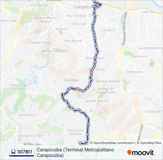 307BI1 Bus Line Map