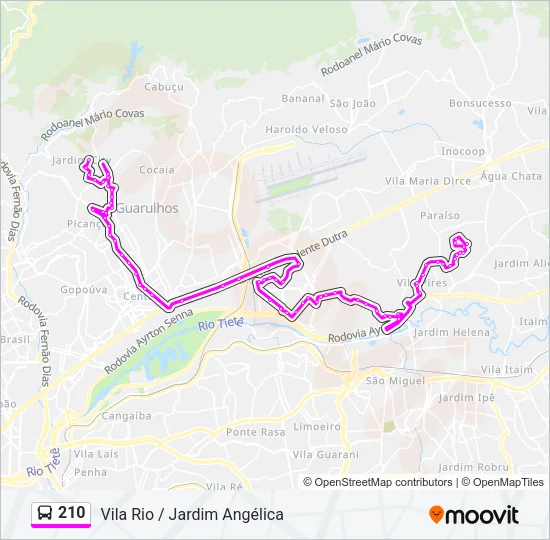 210 Bus Line Map