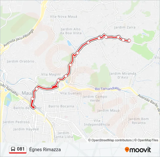 081 Bus Line Map