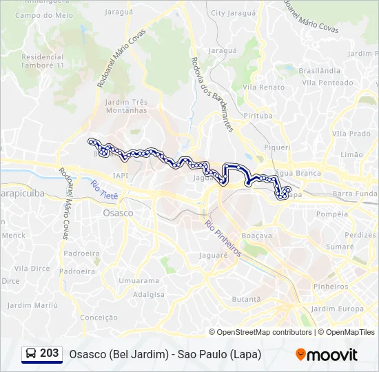 203 Bus Line Map