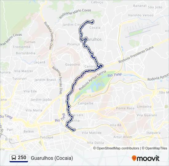 250 Bus Line Map