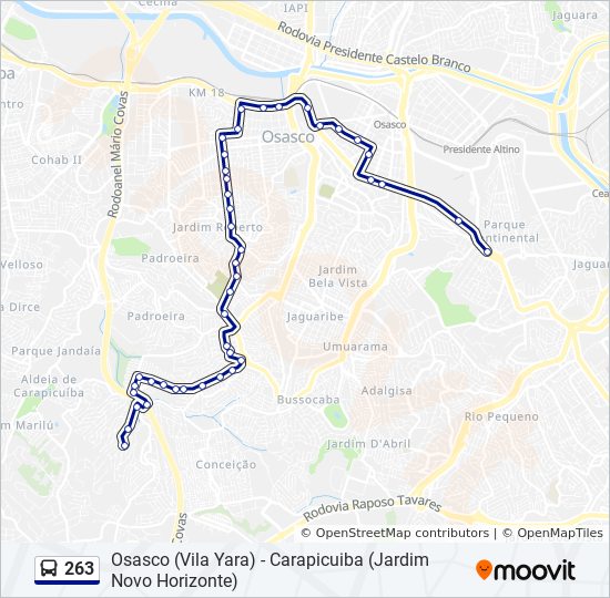 263 bus Line Map