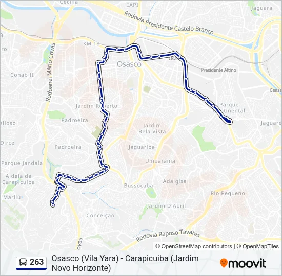 263 Bus Line Map