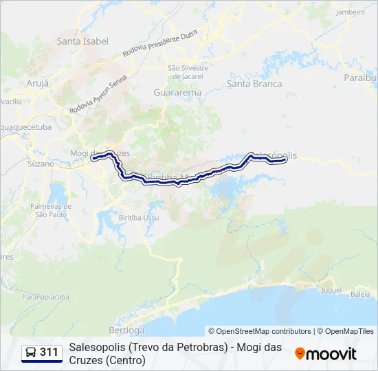 311 Bus Line Map