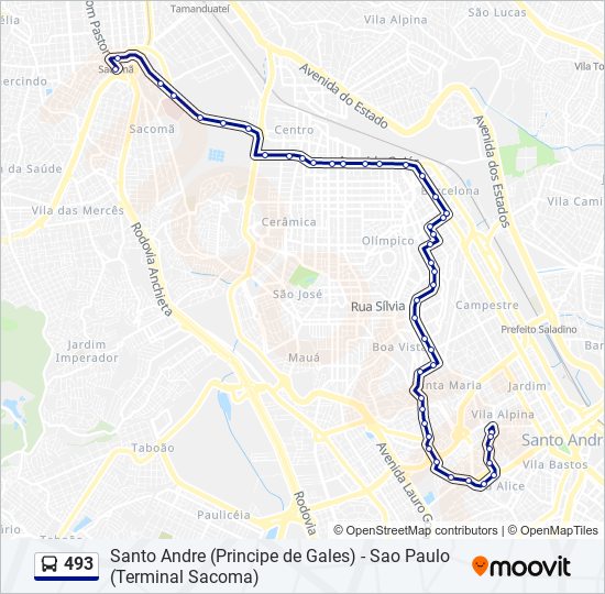 Mapa da linha 493 de ônibus