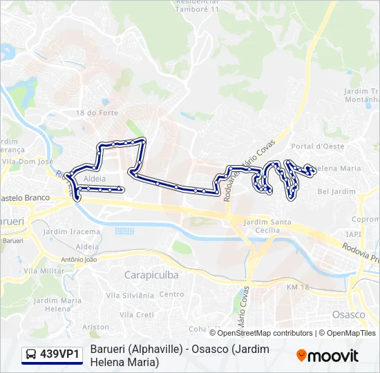439VP1 Bus Line Map