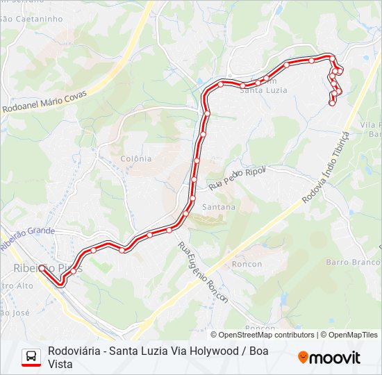 33 SANTA LUZIA bus Line Map