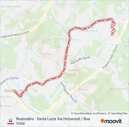 33 SANTA LUZIA Bus Line Map