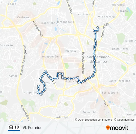 10 Bus Line Map