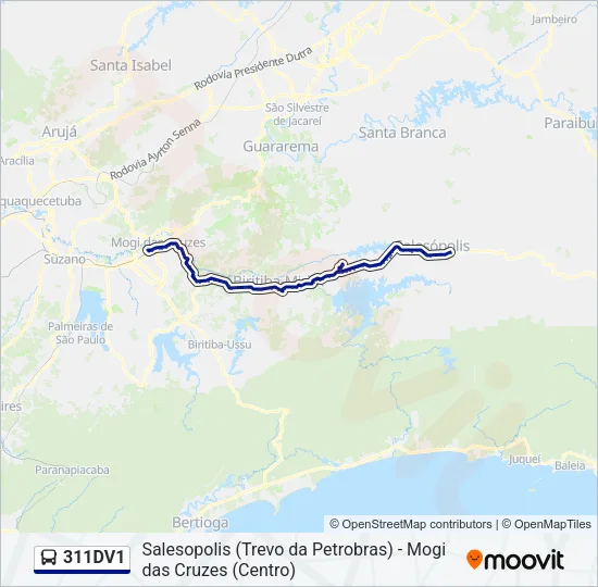311DV1 Bus Line Map