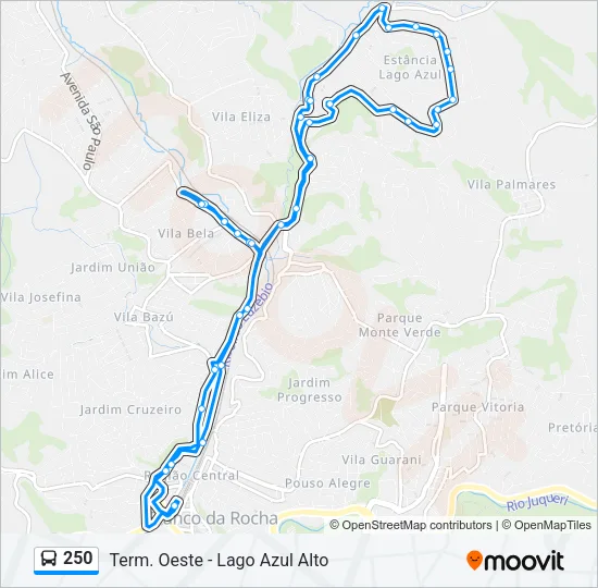 250 Bus Line Map