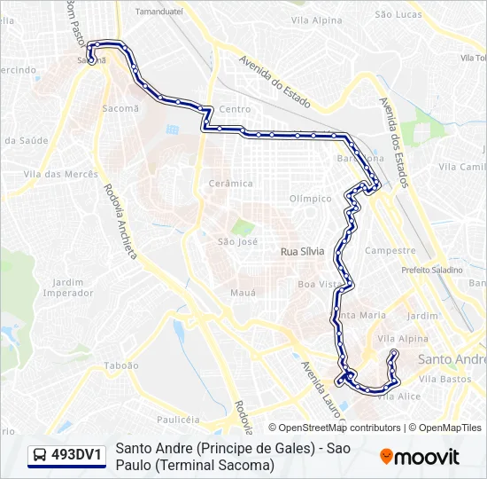 493DV1 Bus Line Map