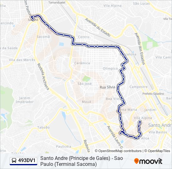 Mapa da linha 493DV1 de ônibus