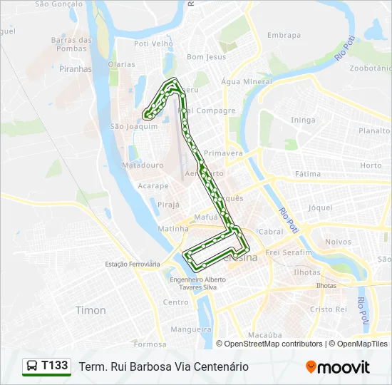 T133 Bus Line Map
